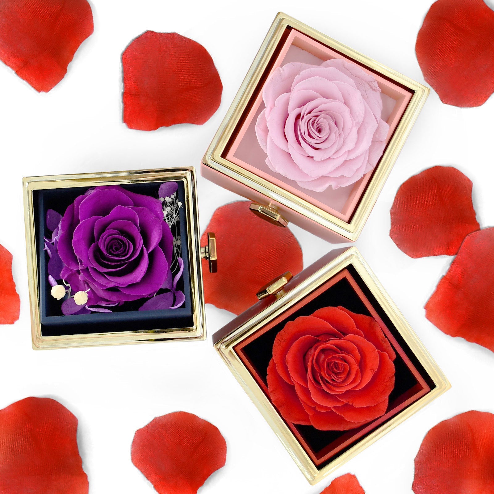2024 Valentine's Day Rose Eternal Flower Jewelry Box Birthd SHOWLU FASHION STORE