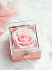 Proposal Qixi Girlfriend Bar Ring Box SHOWLU FASHION STORE