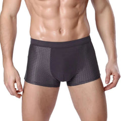 Bamboowear Bamboo Boxer Short Men Microfiber Boxer Briefs Underwear Compression Stretch - SHOWLU FASHION STORE
