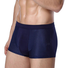Bamboowear Bamboo Boxer Short Men Microfiber Boxer Briefs Underwear Compression Stretch - SHOWLU FASHION STORE