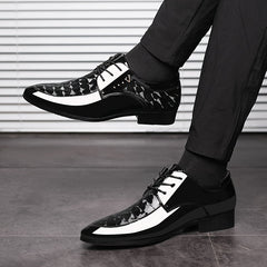 Men'S Fashion Dress Shoes, Solid Color Faux, Low Top Lace-up, Pointed Toe, Rubber Sole, All-season Business Casual Footwear for Daily & Wedding Use SHOWLU FASHION STORE