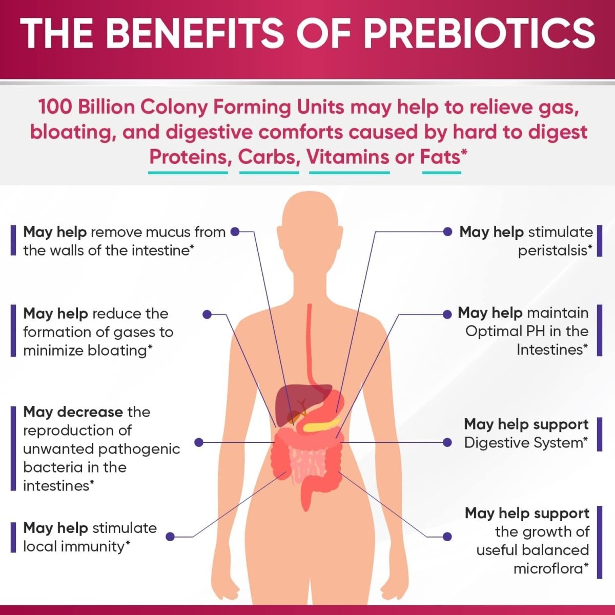 Dr. Formulated Raw Probiotics for Women 100 Billion CFUs with Prebiotics, Digestive Enzymes, Approved Women's Probiotic for Adults, Shelf Stable Probiotic Supplement Capsules - SHOWLU FASHION STORE