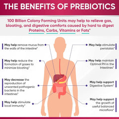 Dr. Formulated Raw Probiotics for Women 100 Billion CFUs with Prebiotics, Digestive Enzymes, Approved Women's Probiotic for Adults, Shelf Stable Probiotic Supplement Capsules - SHOWLU FASHION STORE