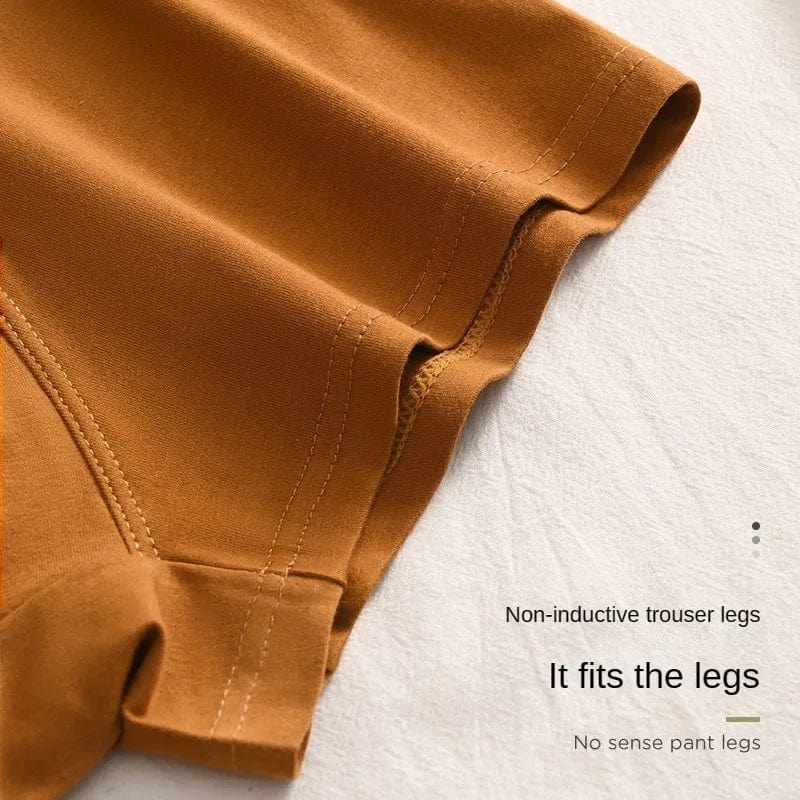 Luxury Men Underpants Man Cotton Breathable Comfortable Boxer Selling Shorts Men's Panties Plus Size Panties Underwear Gift - SHOWLU FASHION STORE