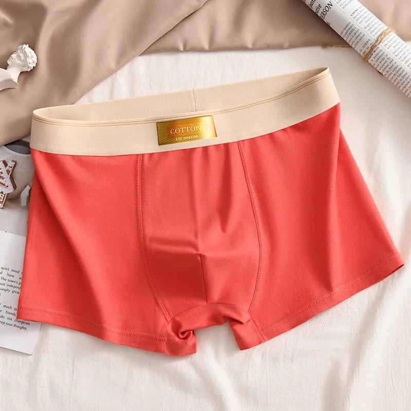 Luxury Men Underpants Man Cotton Breathable Comfortable Boxer Selling Shorts Men's Panties Plus Size Panties Underwear Gift - SHOWLU FASHION STORE