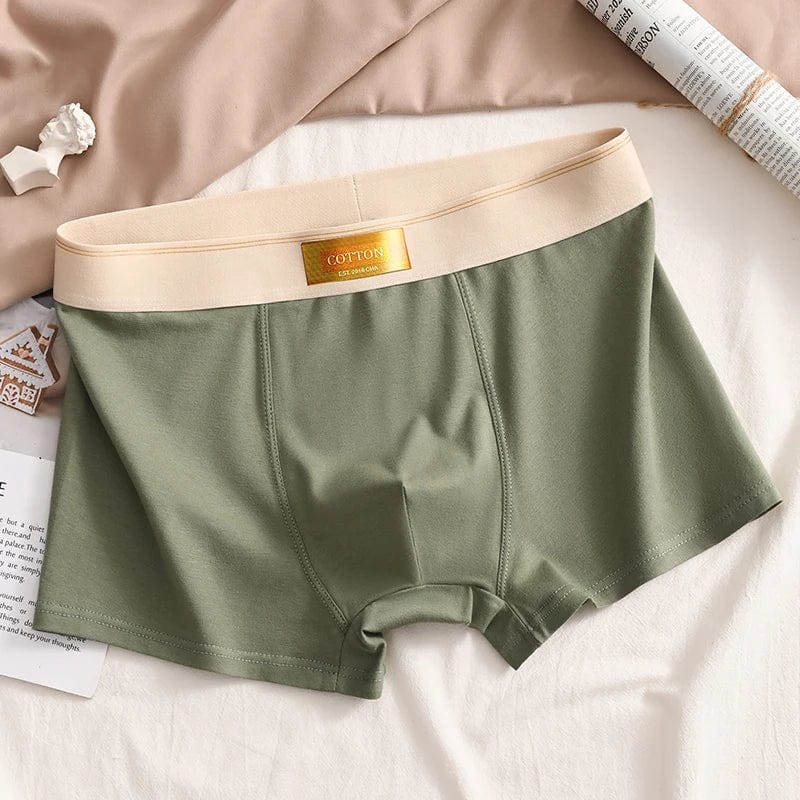 Luxury Men Underpants Man Cotton Breathable Comfortable Boxer Selling Shorts Men's Panties Plus Size Panties Underwear Gift - SHOWLU FASHION STORE