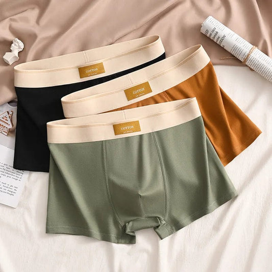 Luxury Men Underpants Man Cotton Breathable Comfortable Boxer Selling Shorts Men's Panties Plus Size Panties Underwear Gift - SHOWLU FASHION STORE