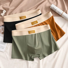 Luxury Men Underpants Man Cotton Breathable Comfortable Boxer Selling Shorts Men's Panties Plus Size Panties Underwear Gift - SHOWLU FASHION STORE