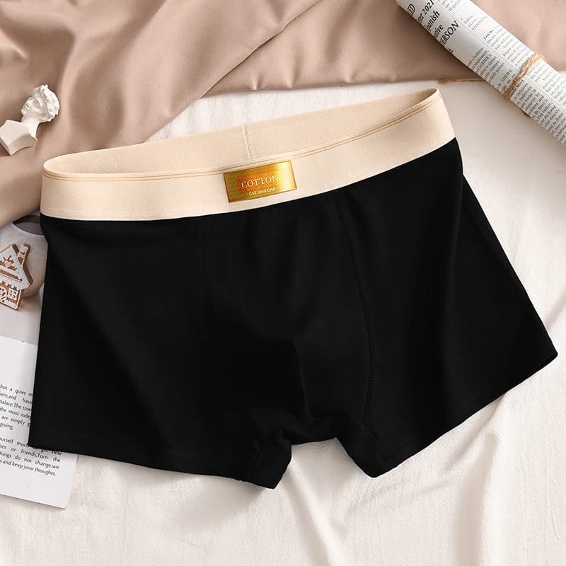 Luxury Men Underpants Man Cotton Breathable Comfortable Boxer Selling Shorts Men's Panties Plus Size Panties Underwear Gift - SHOWLU FASHION STORE