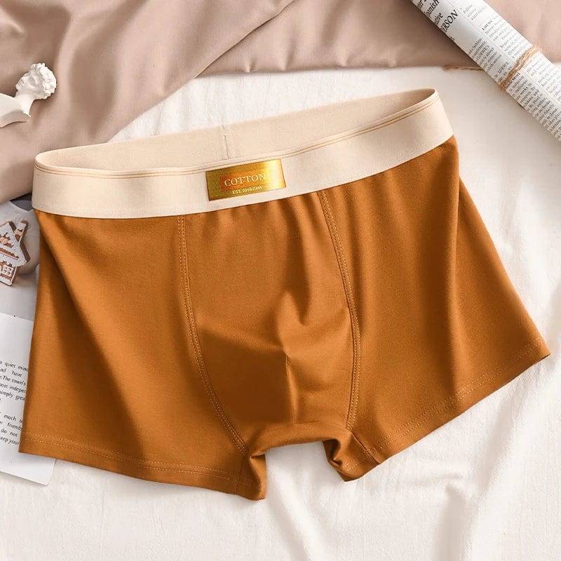 Luxury Men Underpants Man Cotton Breathable Comfortable Boxer Selling Shorts Men's Panties Plus Size Panties Underwear Gift - SHOWLU FASHION STORE