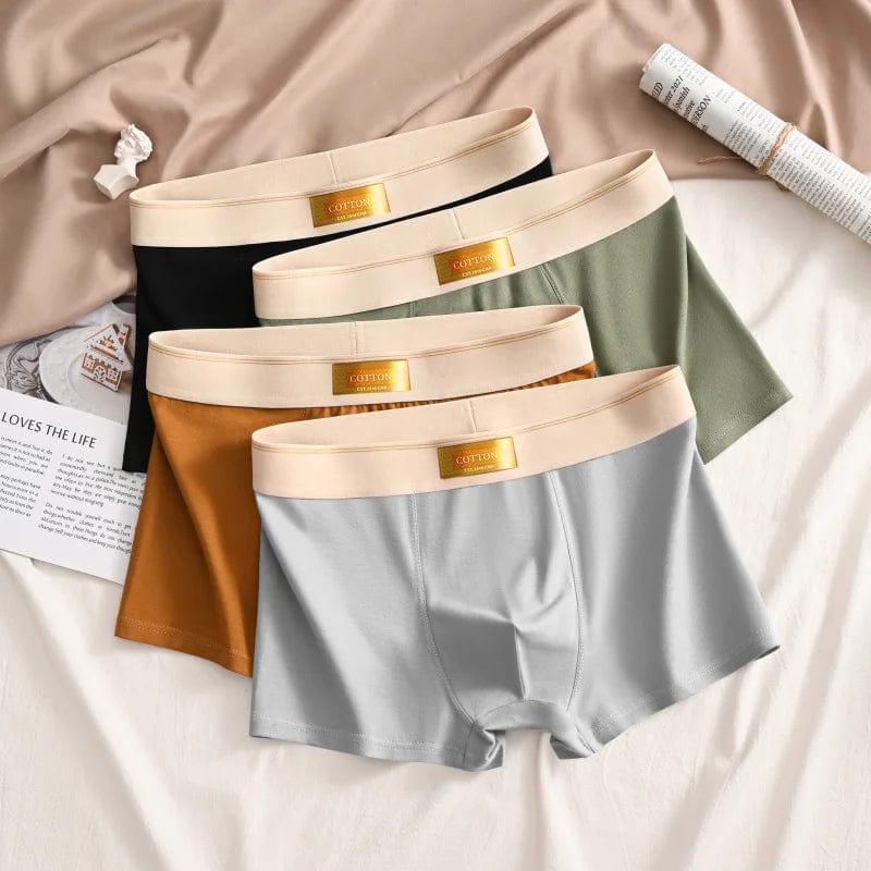 Luxury Men Underpants Man Cotton Breathable Comfortable Boxer Selling Shorts Men's Panties Plus Size Panties Underwear Gift - SHOWLU FASHION STORE